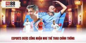 Esports được công nhận như thể thao chính thống
